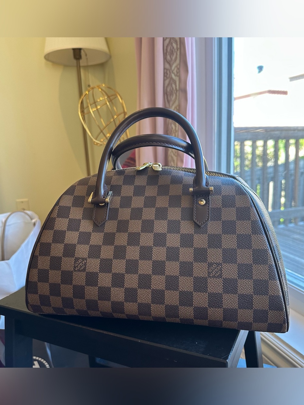 Louis Vuitton Damier Ebene Canvas Ribera Zip Tote Bag